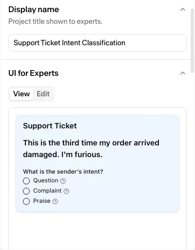 The UI for Experts card on its View tab: the interactive form the expert fills in, rendered on a sample item.